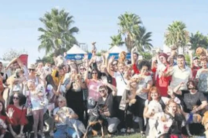 Hayvanseverler 1.5 ton mama aldı