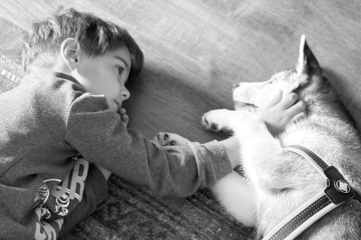 Zayu ile Başlayan Yolculuk: Bir Husky’nin Aileye Kattığı Dinginlik